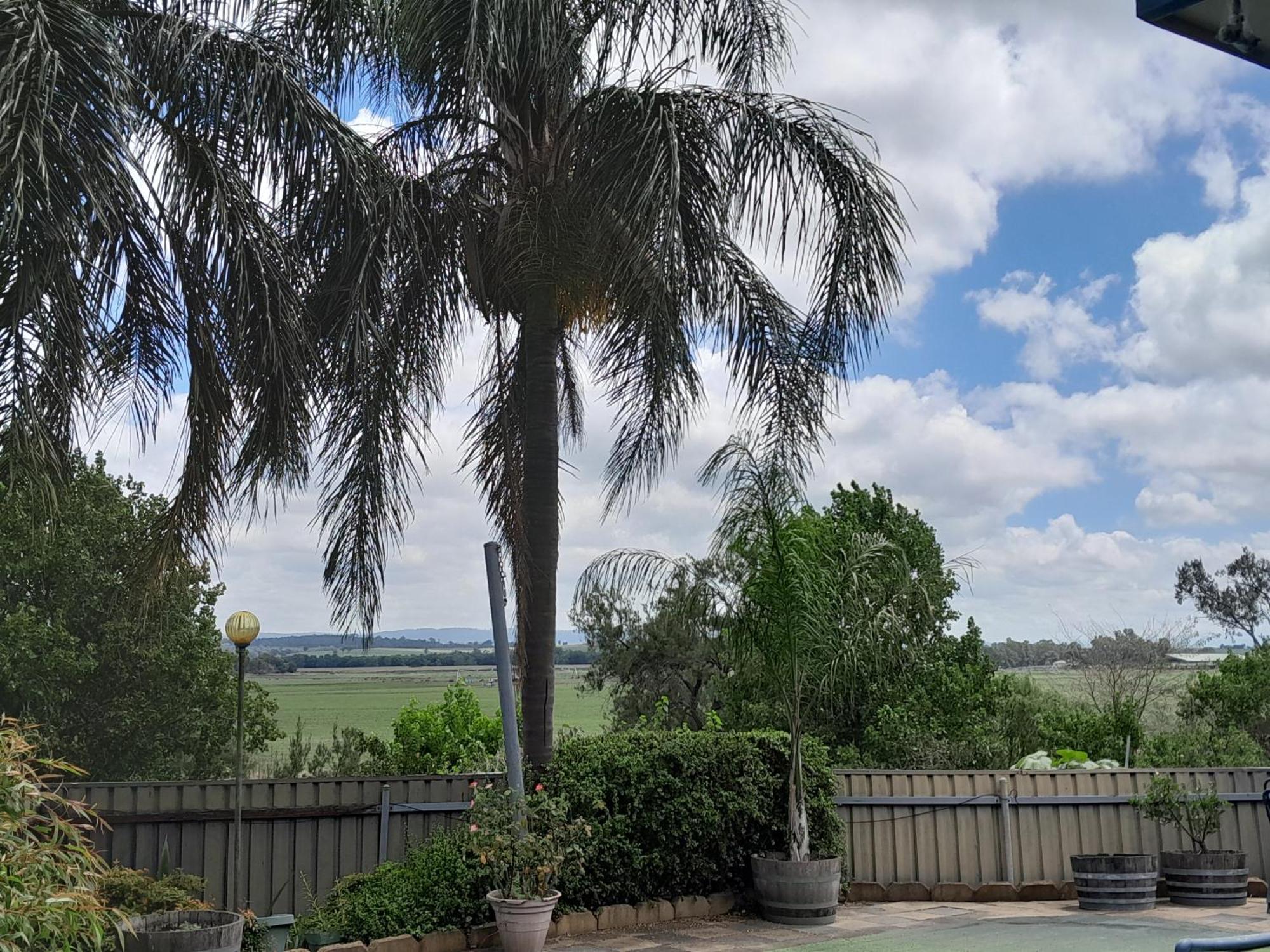 Muswellbrook Northside Bed & Breakfast Exterior foto